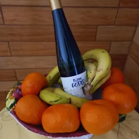 El Girasol 펜션 아리나가